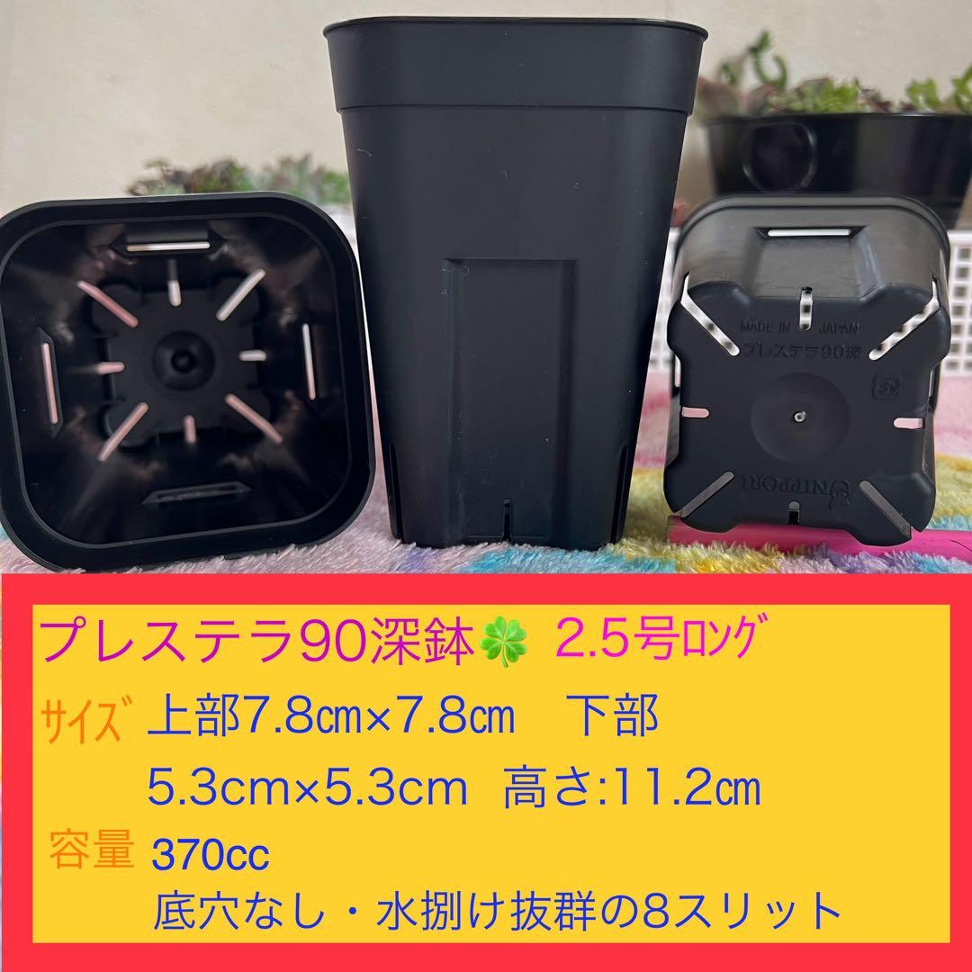 F⑥ プレステラお得セット★ 【90深鉢５０個】【105深鉢５０個】