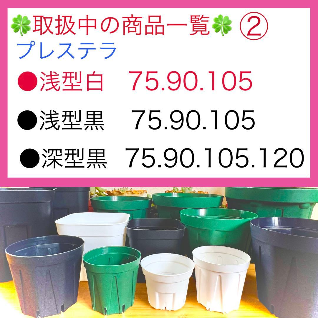 F⑥ プレステラお得セット★ 【90深鉢５０個】【105深鉢５０個】