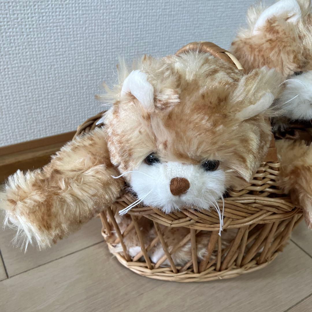 bukowski ねこちゃんぬいぐるみ