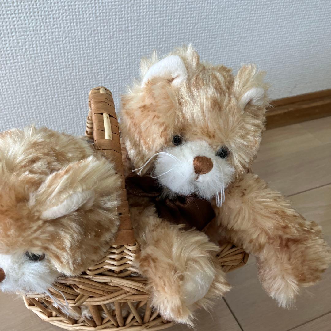 bukowski ねこちゃんぬいぐるみ