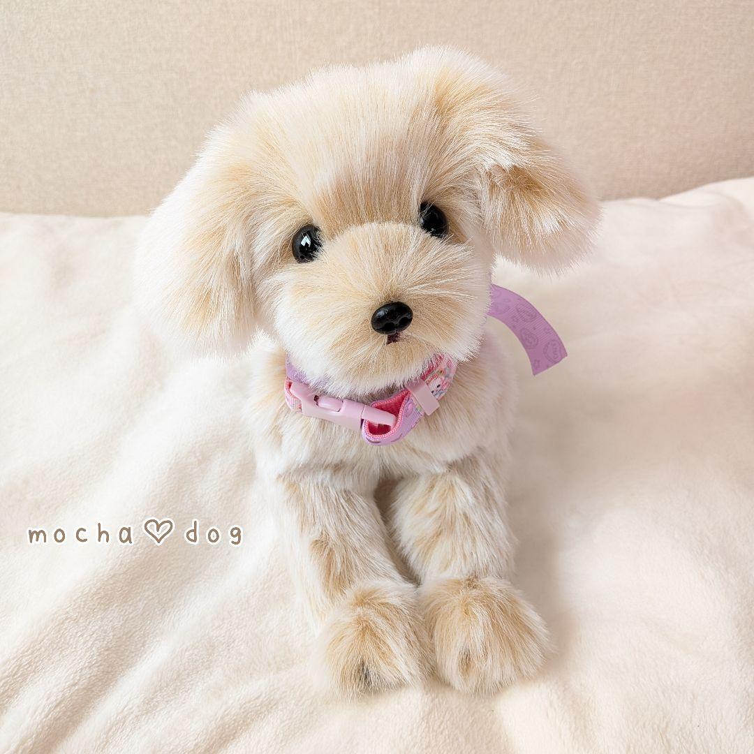 ＊mocha♡dog ＊ mixdog(S)☆ぬいぐるみわんこ 犬　ハンドメイド