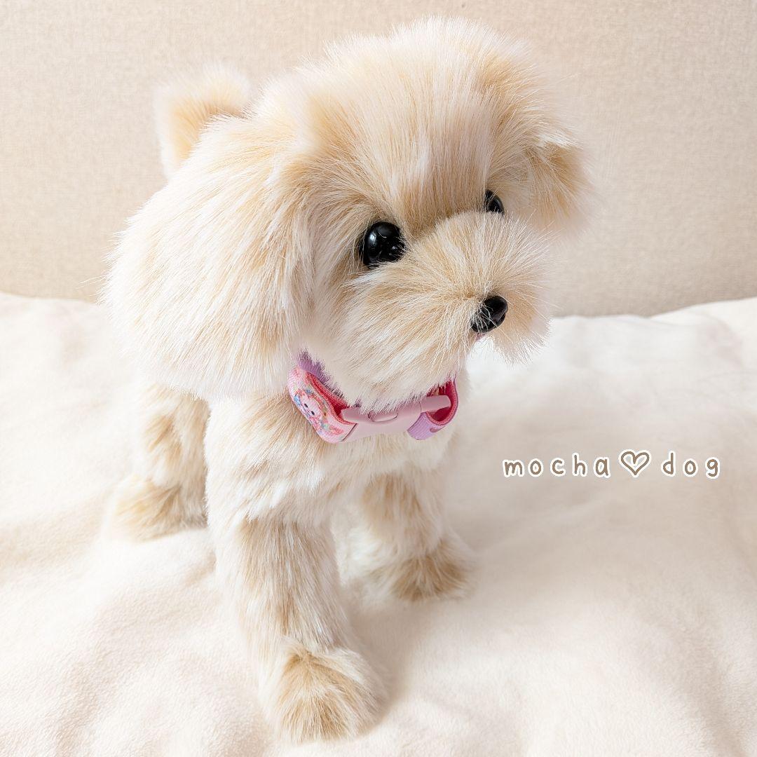 ＊mocha♡dog ＊ mixdog(S)☆ぬいぐるみわんこ 犬　ハンドメイド