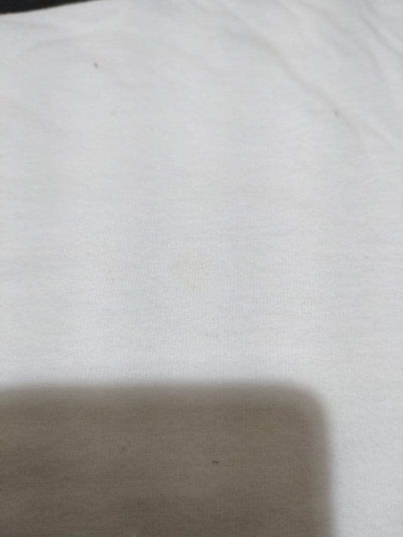 非売品ザ・ハイロウズDo!The MUSTANG Tシャツ FM802
