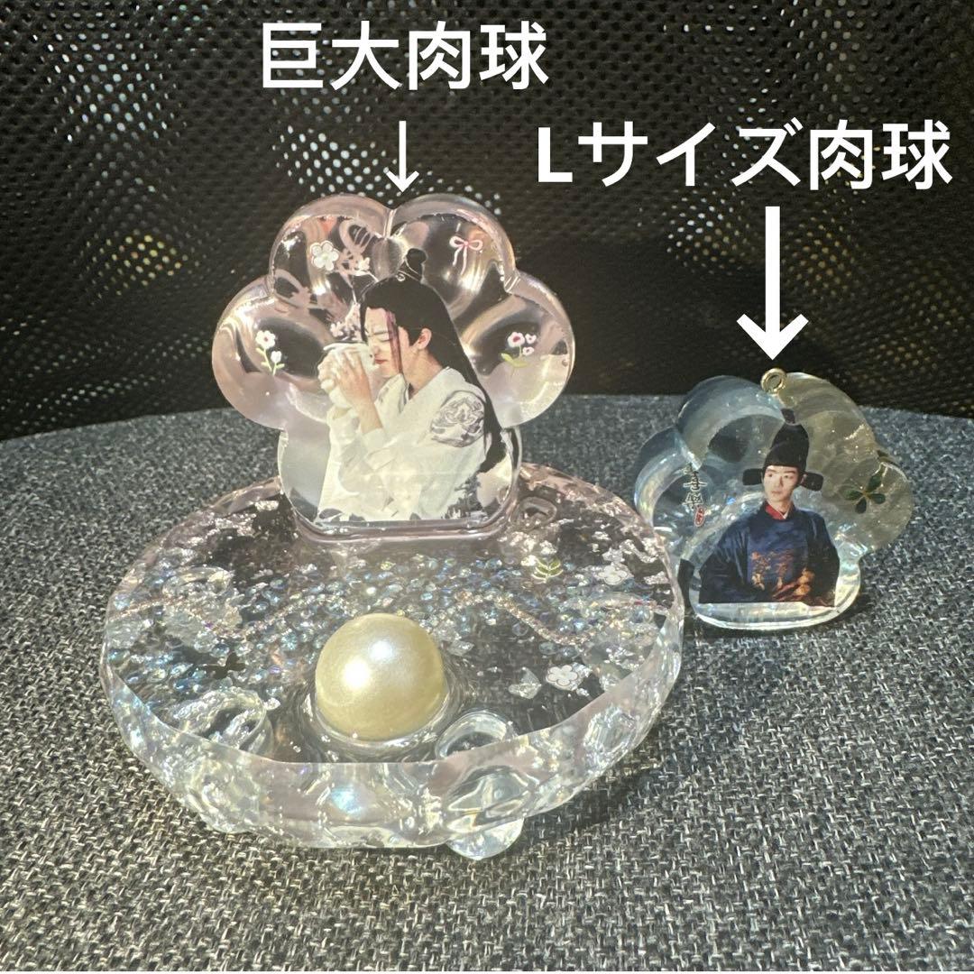 ‼️VIP限定購入可能‼️肖戦　巨大肉球 置物 セット❣️1日限定❣️6点セット❣️