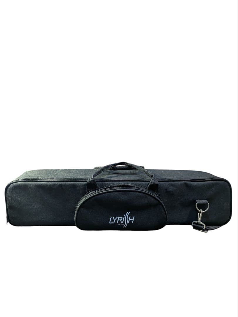 大正琴　LYRISSH　ライリッシュ　専用ケース付