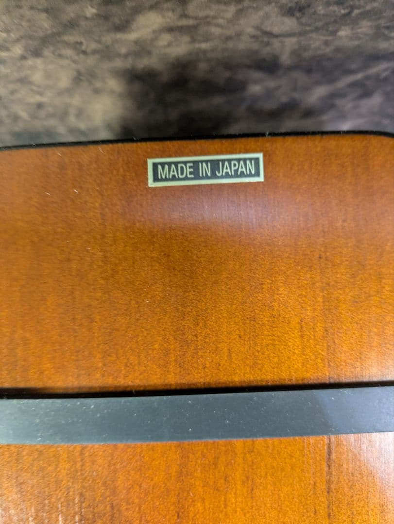 大正琴　LYRISSH　ライリッシュ　専用ケース付