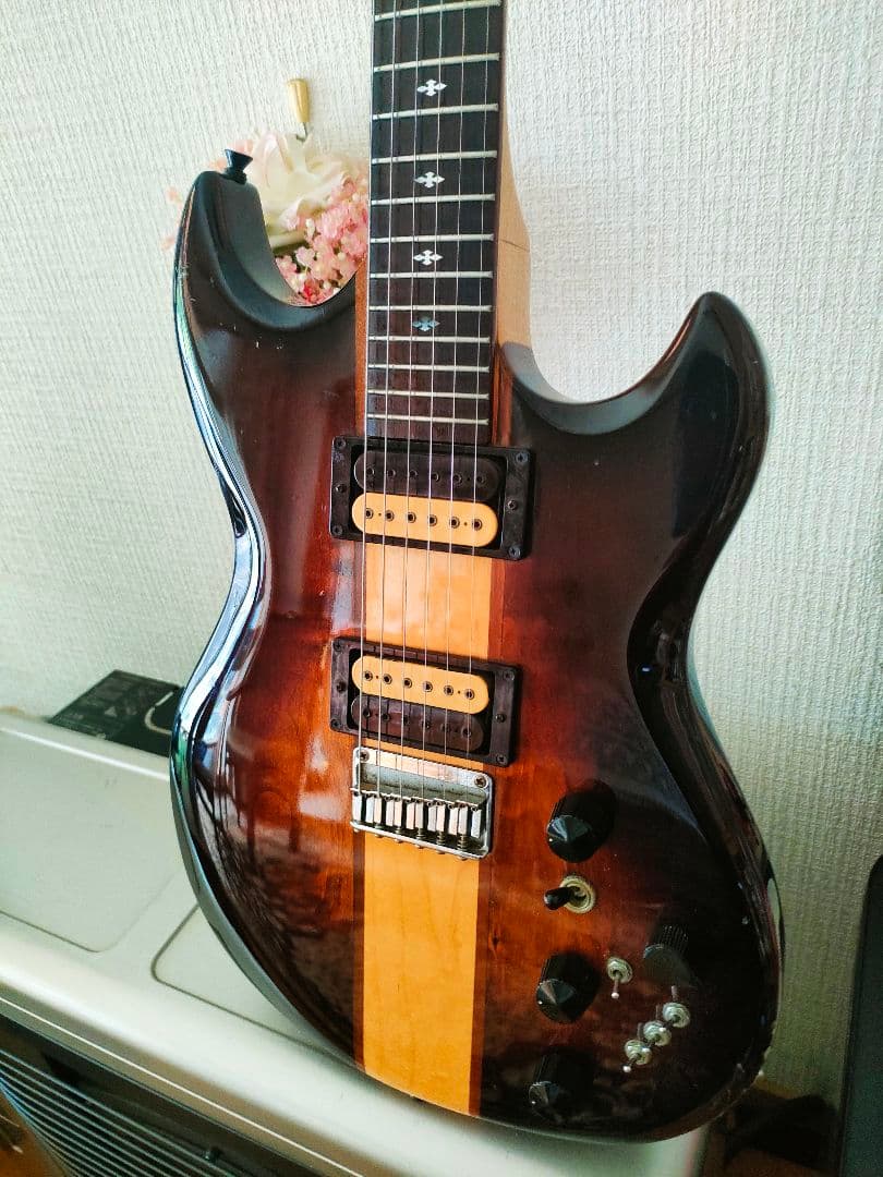 aria pro Ⅱ TS-500