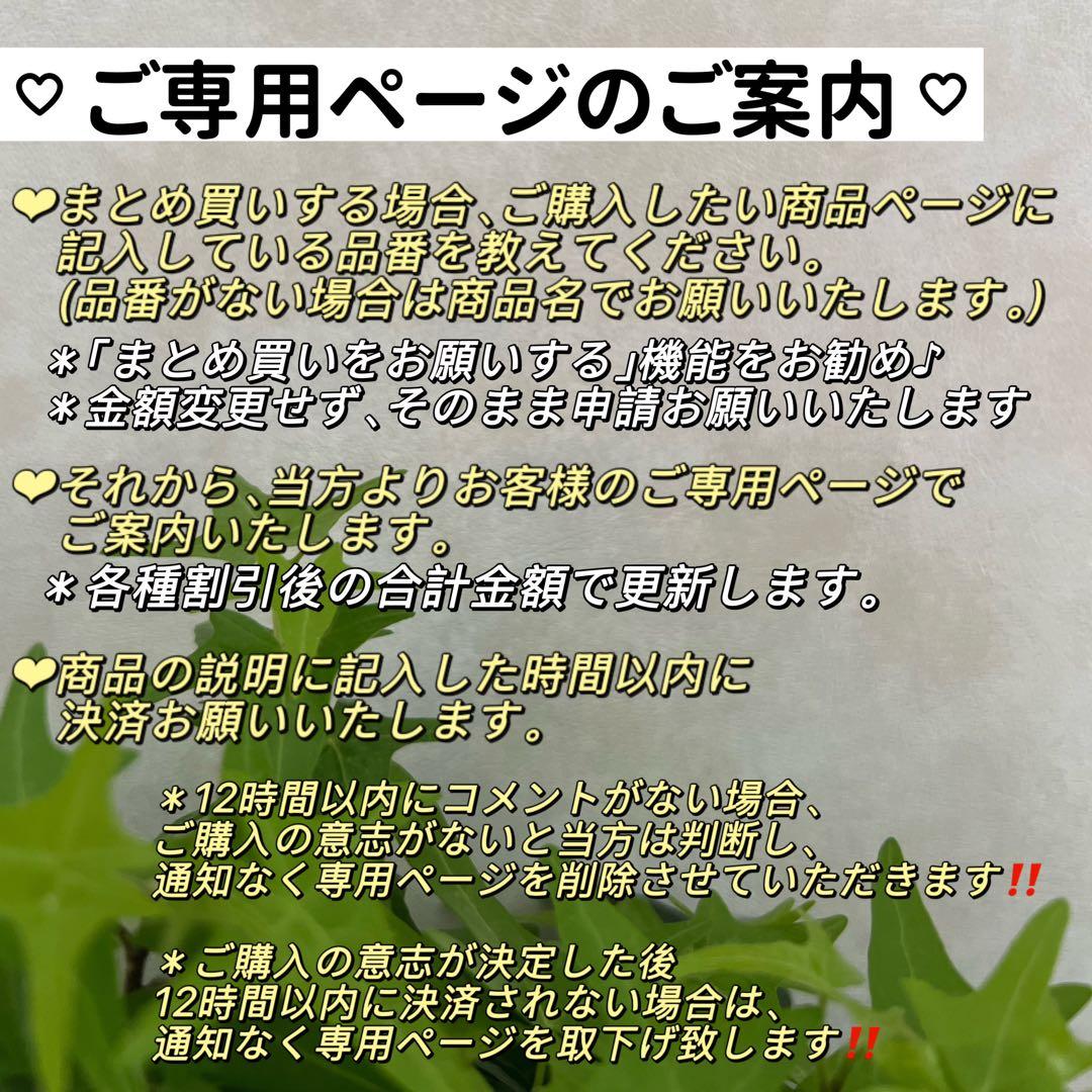 ゆああ様 リクエスト3点まとめ商品　動物モチーフ　バロックパールペンダントトップ