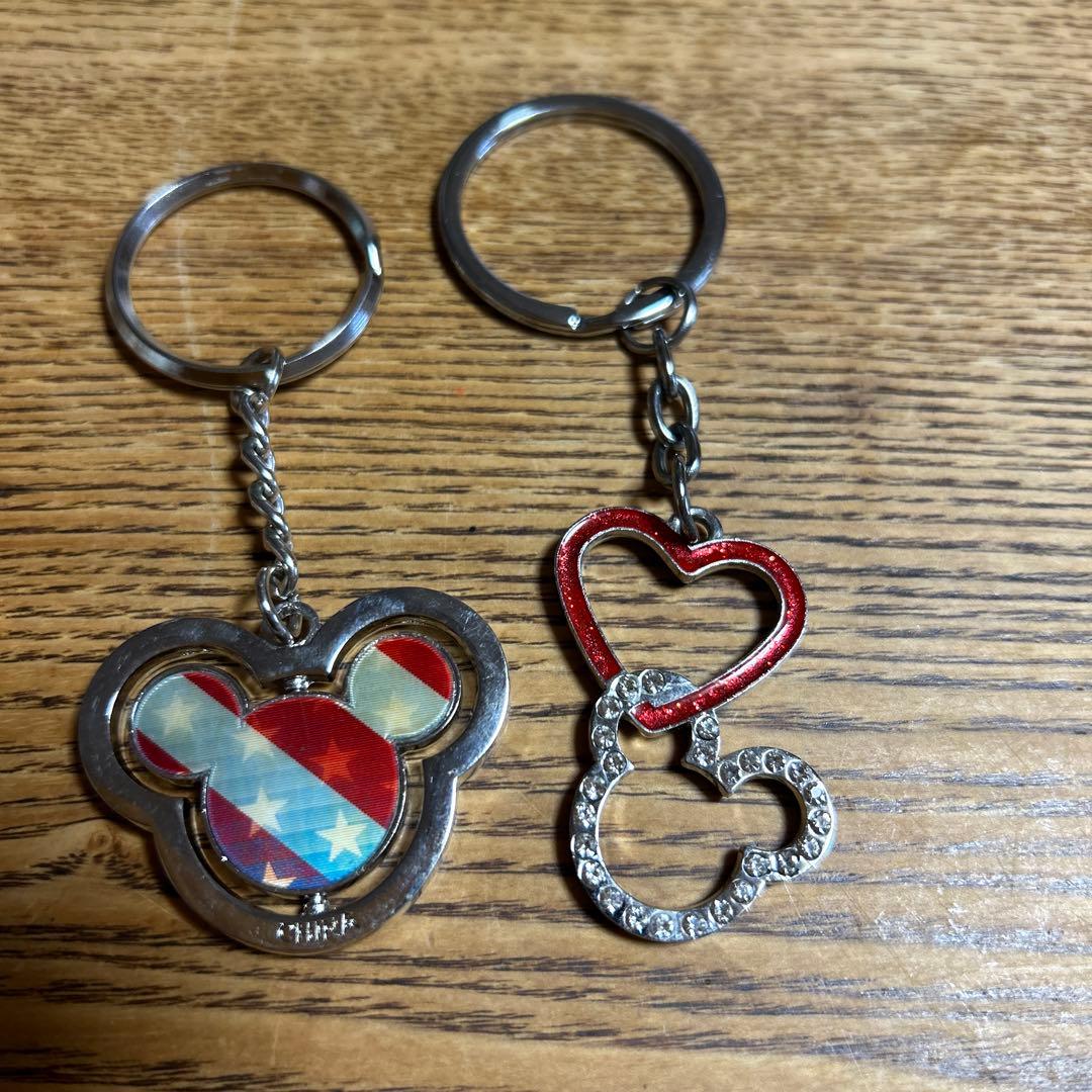 ディズニーランド. パーク、スノードーム、置物、マグネット、キーホルダー