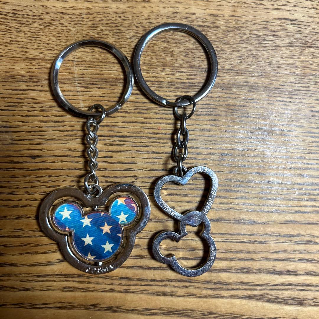 ディズニーランド. パーク、スノードーム、置物、マグネット、キーホルダー