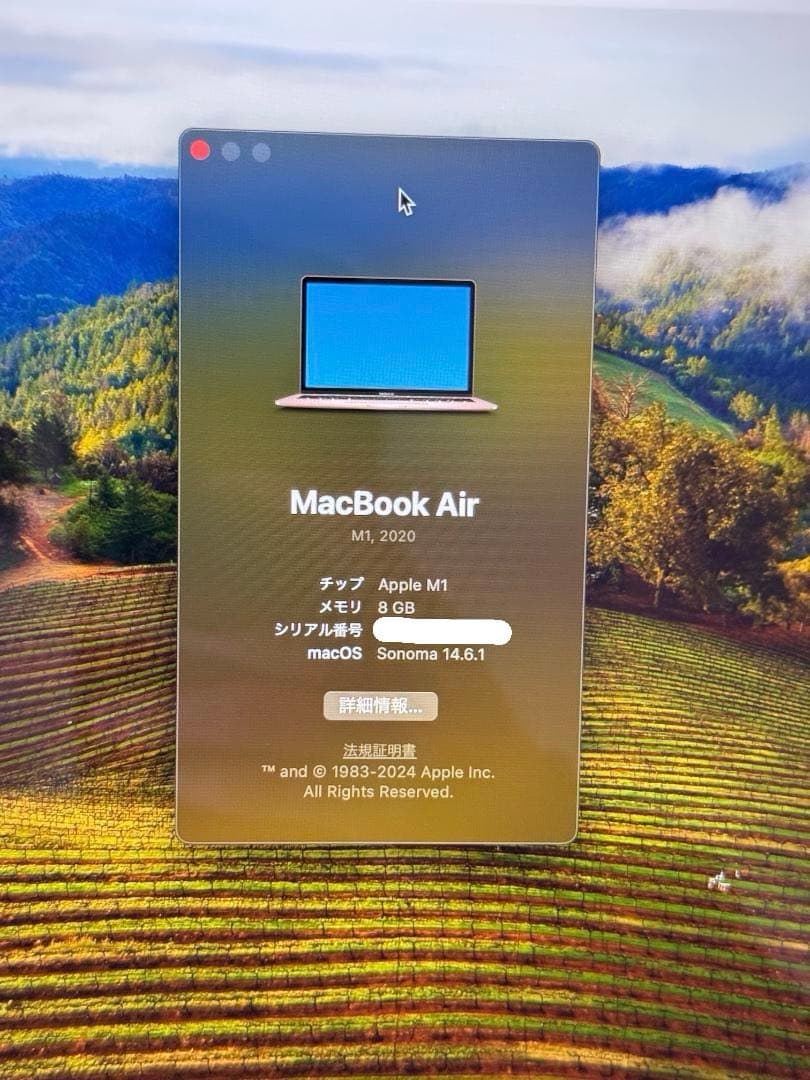 MacBook Air M1 13inch ゴールド 8GB 1TB SSD