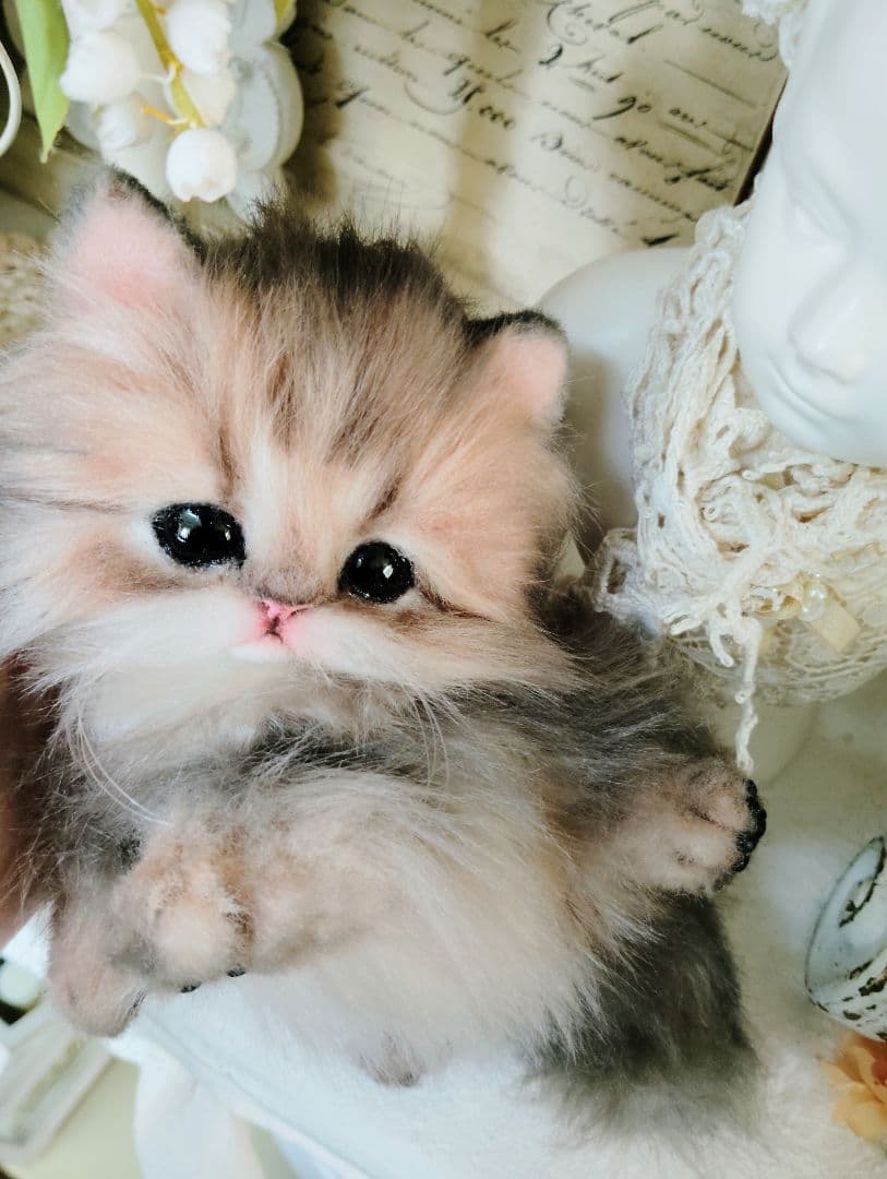 チンチラゴールデン子猫♡まこちゃん♡アートドール♡ぬいぐるみ♡