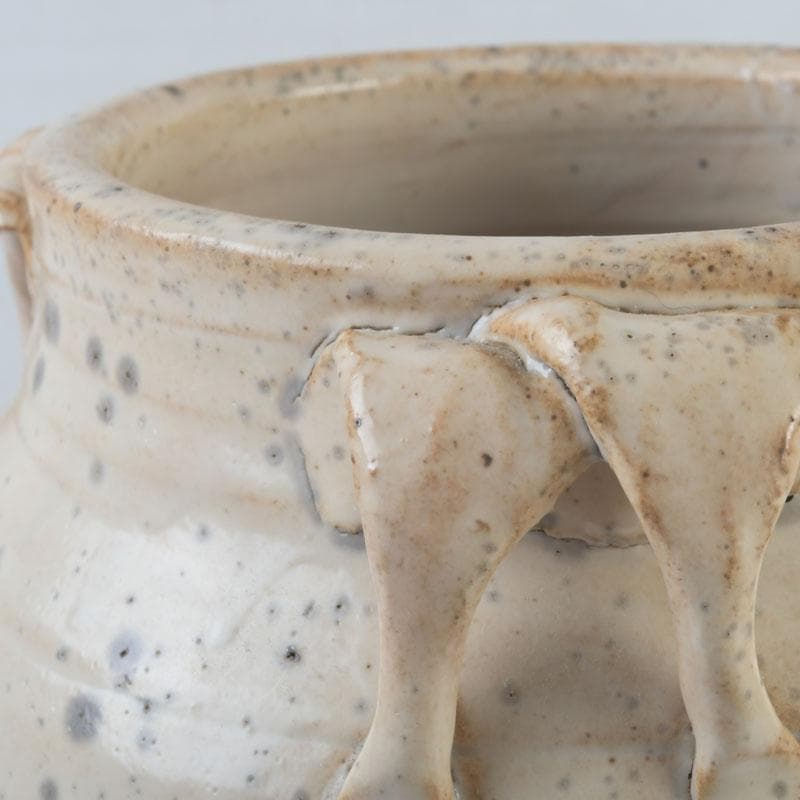 中国　磁州窯　鉄絵　花草文　高麗水指　共箱　V　9891A