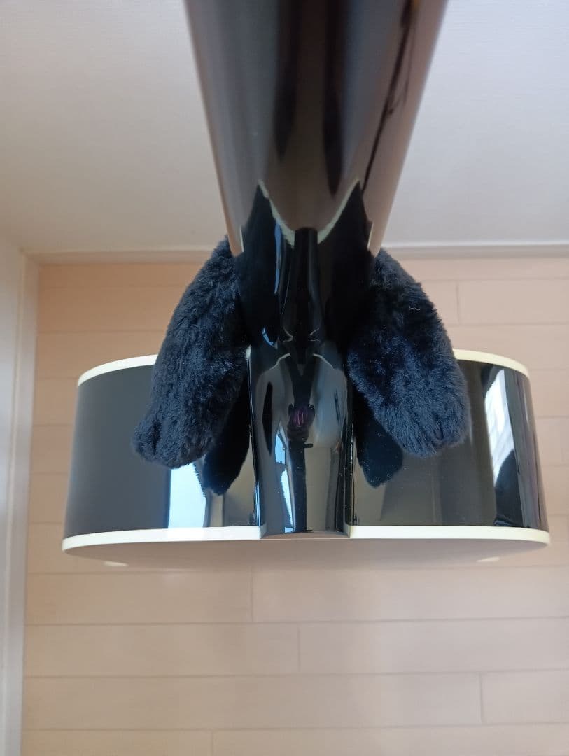 『当たり個体』　Gibson J-45 　2026年製　専用ハード ケース付