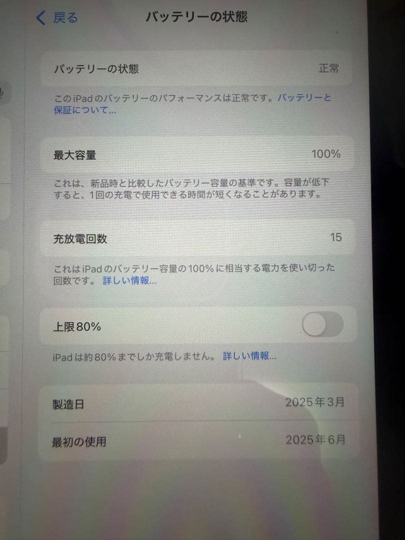 iPad mini 第7世代 A17Pro Wi-Fiモデル バッテリー100%