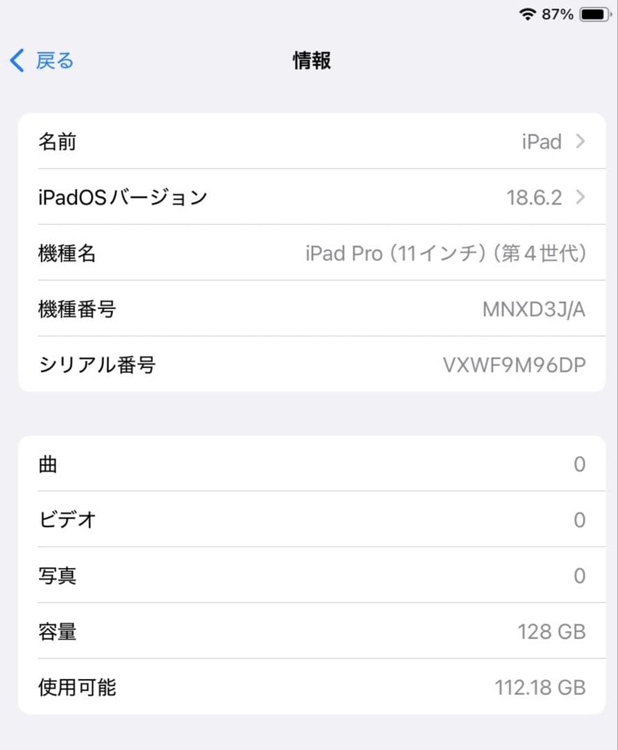 iPad Pro 11インチ(第4世代) +Apple Pencil
