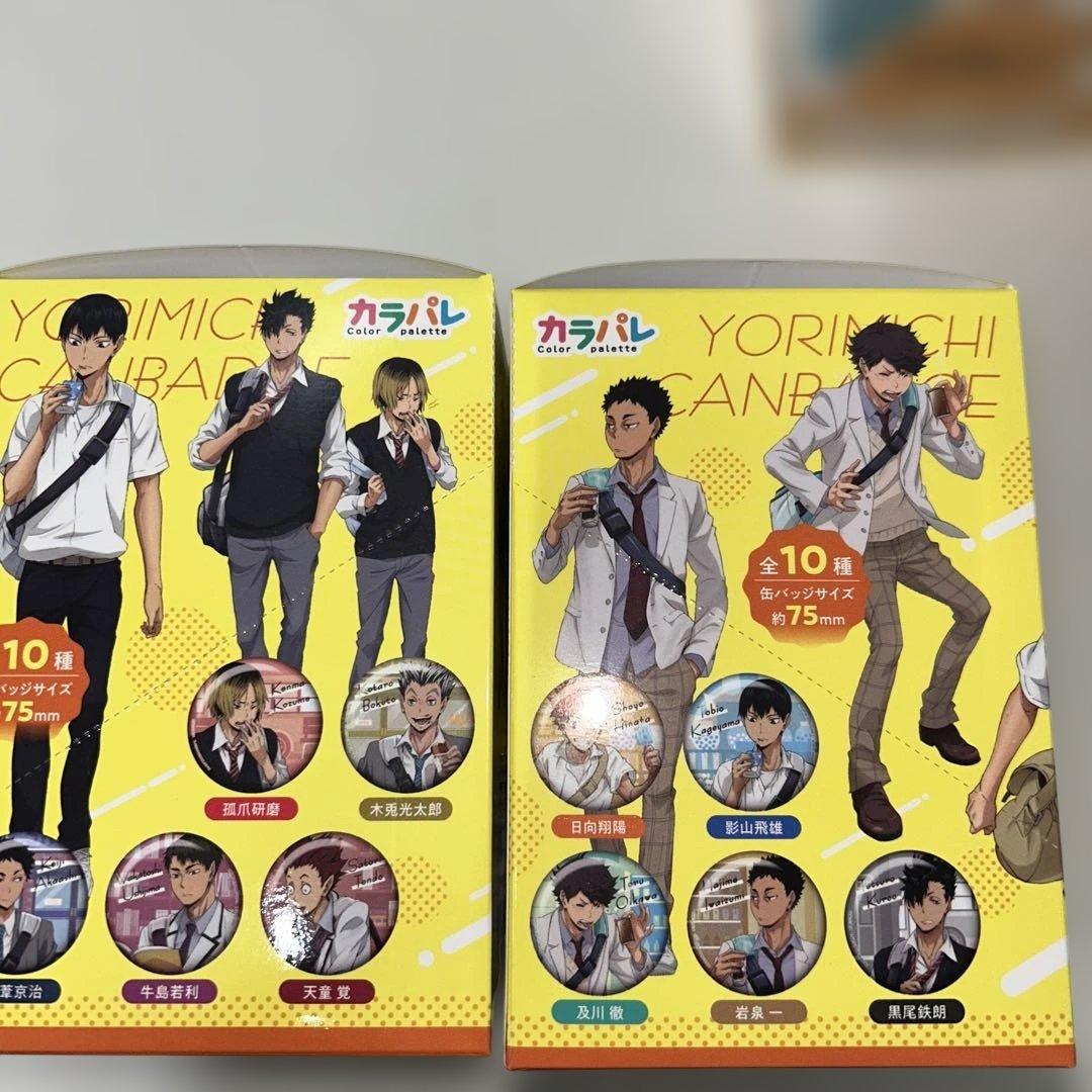 【新品未開封】ハイキュー!! 缶バッジ ホログラム・カラパレより道
