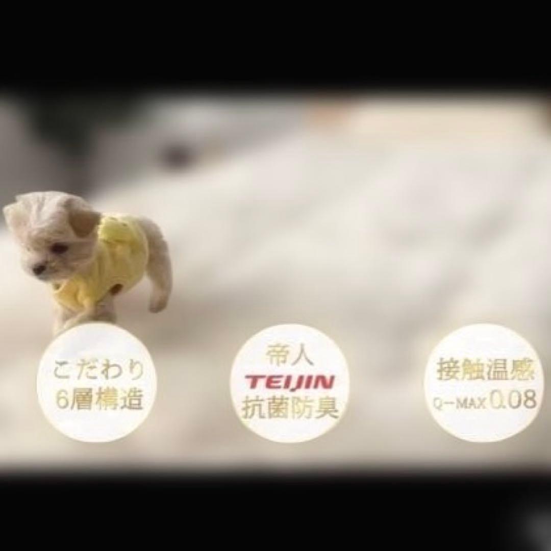 ラスト1枚！帝人 掛布団 W6層構造 抗菌防臭抗カビ加工180×200グレージュ