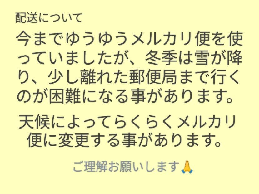 BIGぬい　すのチル　チルぬい　服　衣装　ぬい服