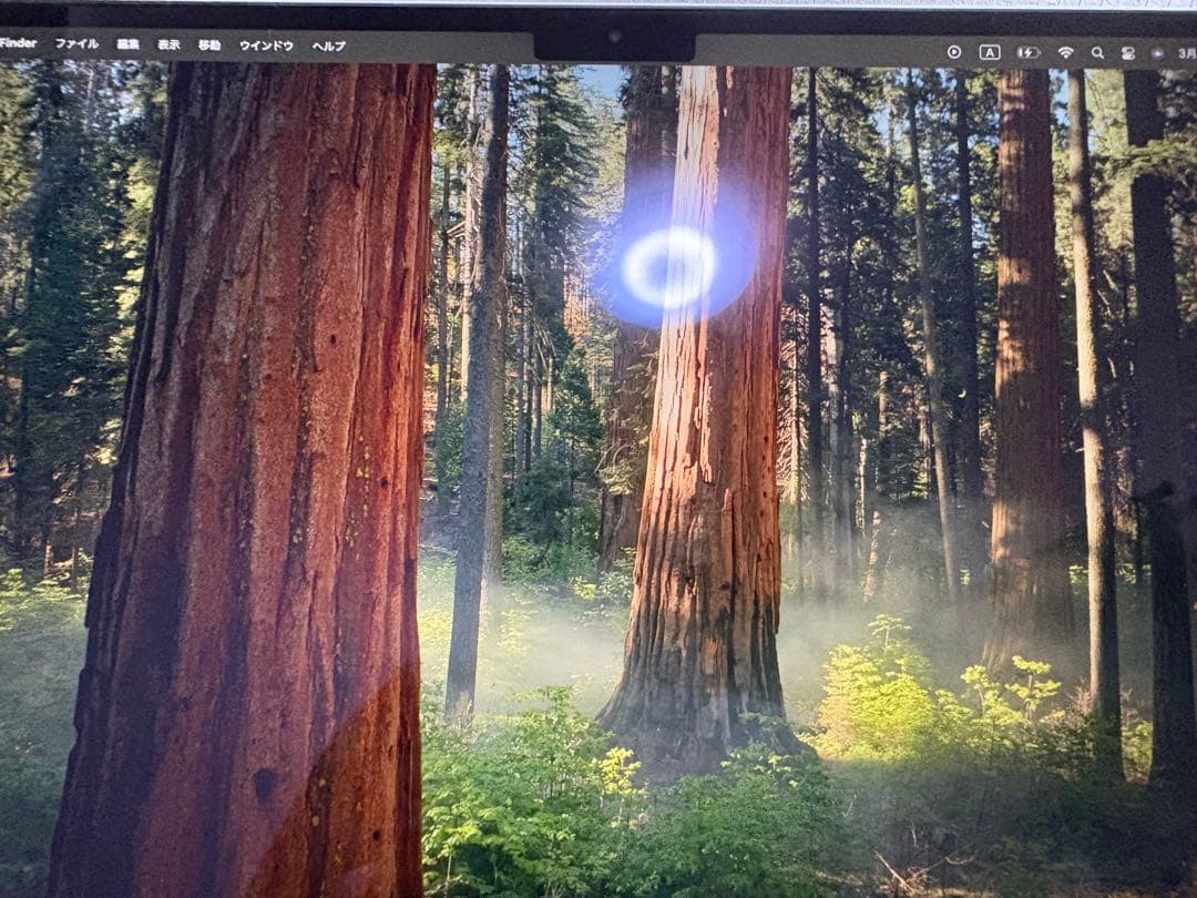 Apple MacBookAir M4 16GB/SSD 512GB 13インチ