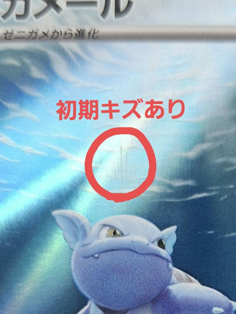 ゼニガメ、カメール、カメックスex　まとめ売り