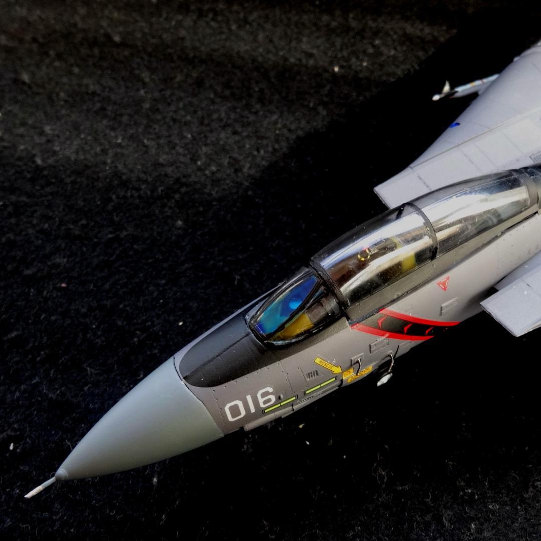 1/72 エースコンバット F-14A トムキャット \"RAZGRIZ\" 完成品
