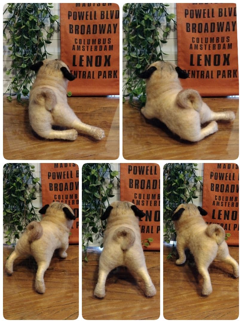 羊毛フェルト　パグ