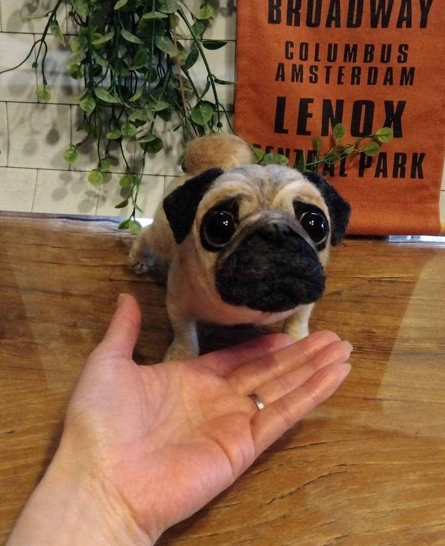 羊毛フェルト　パグ