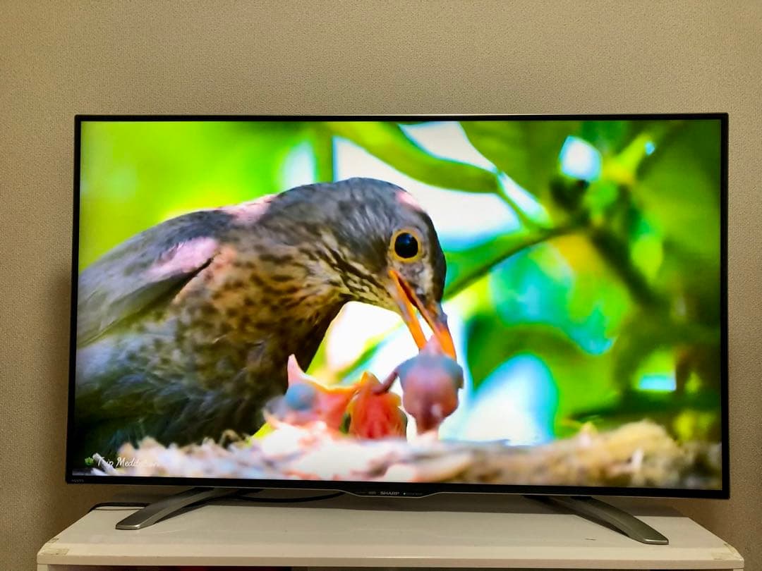 美品 SHARP 50インチ 4K 液晶テレビ LC-50U30 50型