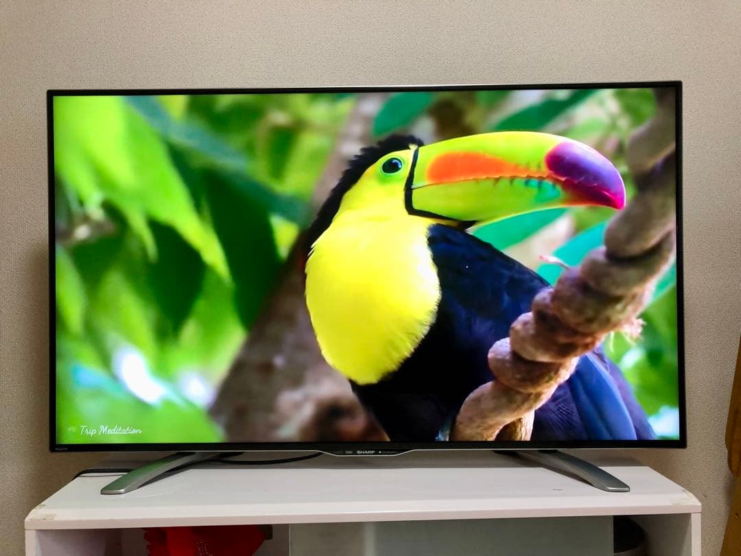 美品 SHARP 50インチ 4K 液晶テレビ LC-50U30 50型