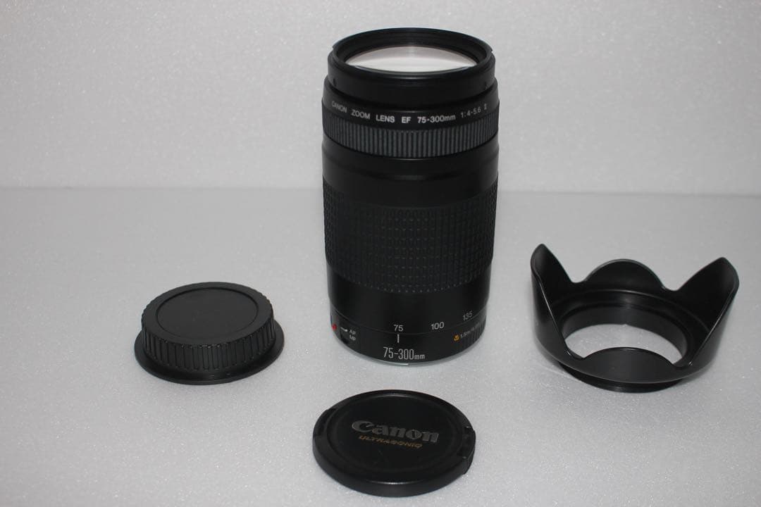 ☆デジタル一眼レフカメラ☆Canon EF75-300 F4-5.6 II☆