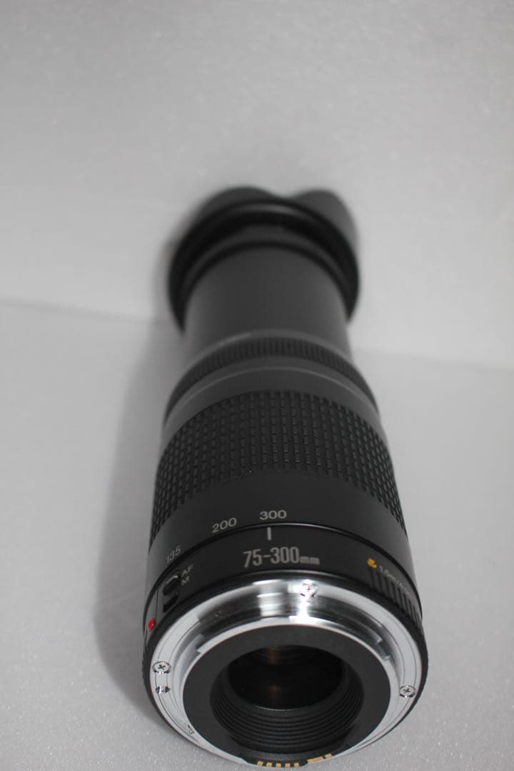 ☆デジタル一眼レフカメラ☆Canon EF75-300 F4-5.6 II☆