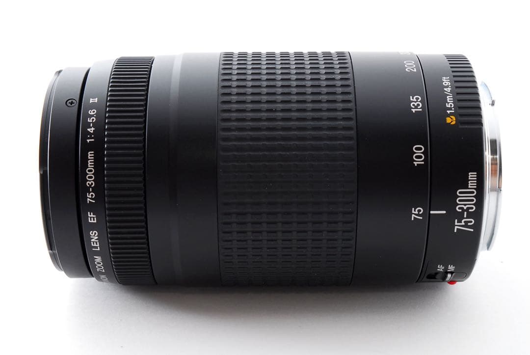 ☆デジタル一眼レフカメラ☆Canon EF75-300 F4-5.6 II☆