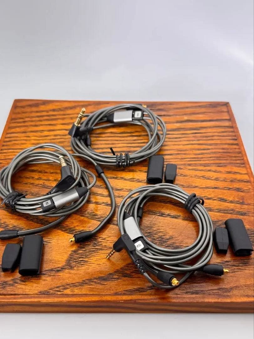 Sennheiser IE900 ゼンハイザー【付属品完備*正規品】