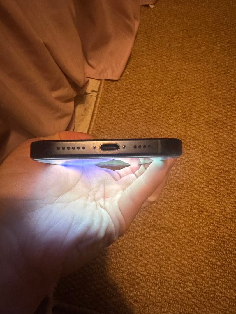 海外版iPhone 16 Pro Max 256GB,美品,バッテリーは100％