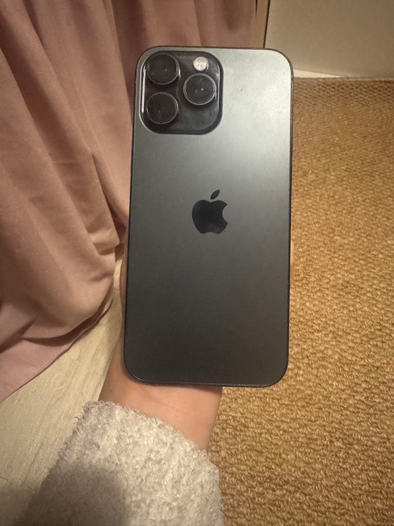 海外版iPhone 16 Pro Max 256GB,美品,バッテリーは100％