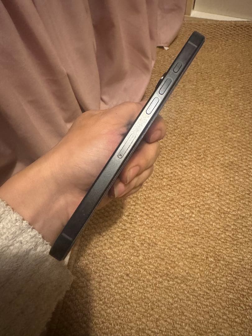 海外版iPhone 16 Pro Max 256GB,美品,バッテリーは100％