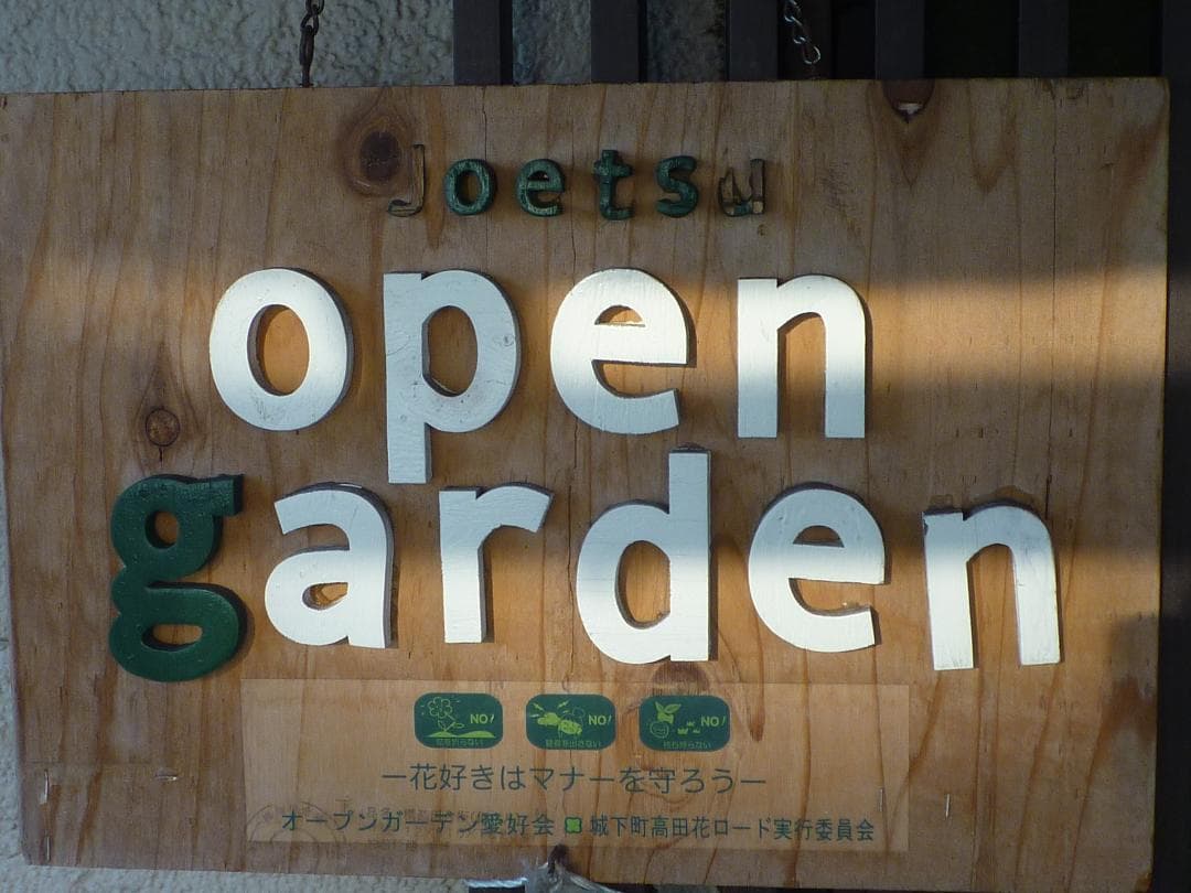 希少！動作品！作例付！Panasonic LUMIX DMC-FX40 充電器付