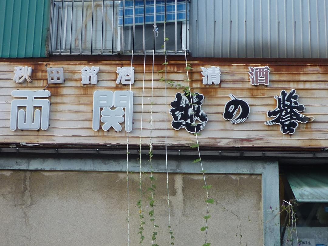 希少！動作品！作例付！Panasonic LUMIX DMC-FX40 充電器付