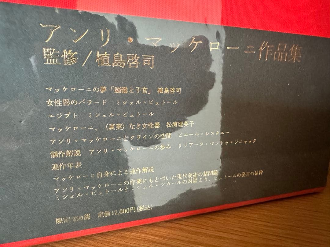 【希少芸術作品】アンリマッケローニ 写真集