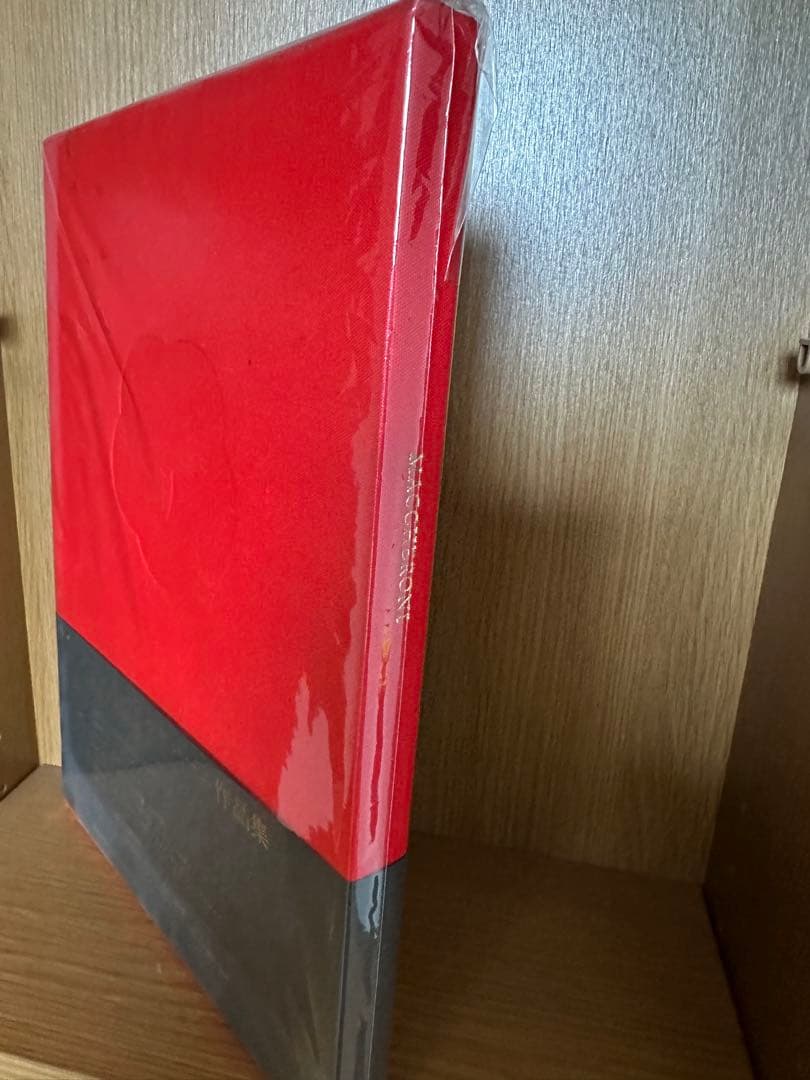 【希少芸術作品】アンリマッケローニ 写真集