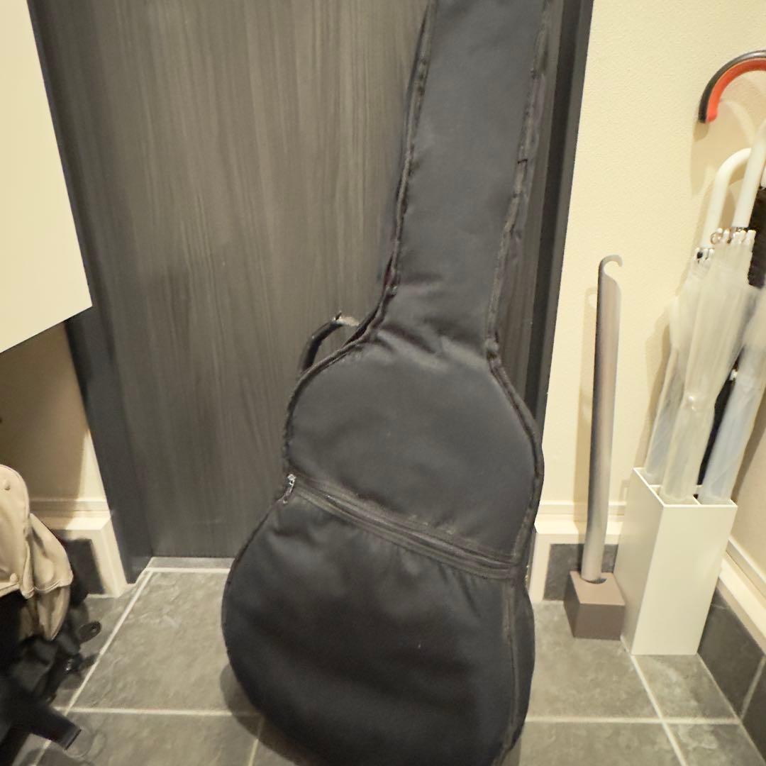 動作OK takamine エレアコ PT206 タカミネ ソフトケース付き