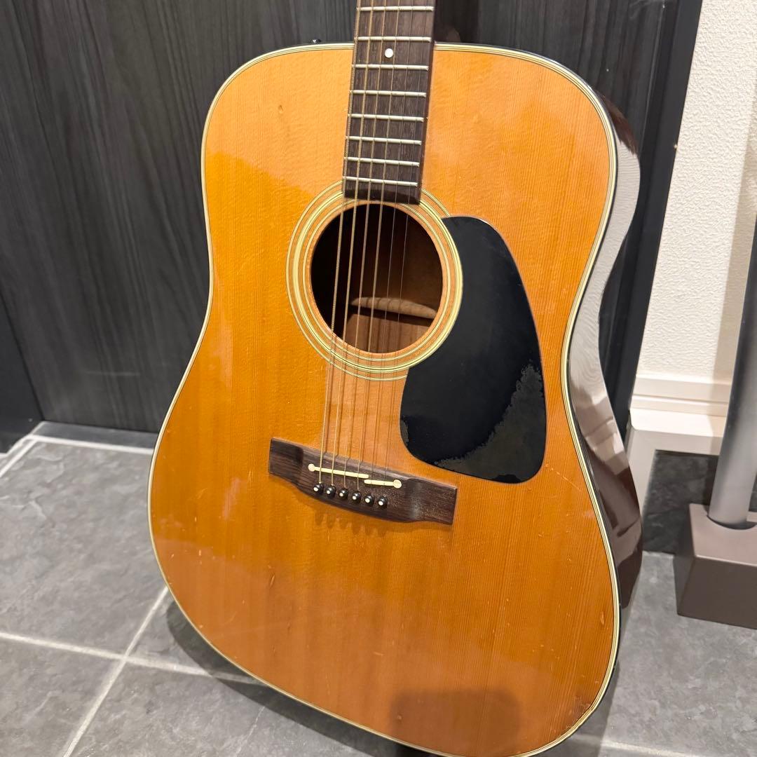 動作OK takamine エレアコ PT206 タカミネ ソフトケース付き