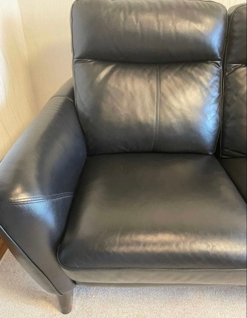 Nitori , 2人用レザーソファセット