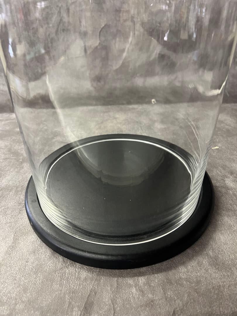 Floyd フロイド ガラスドーム　高さ41cm