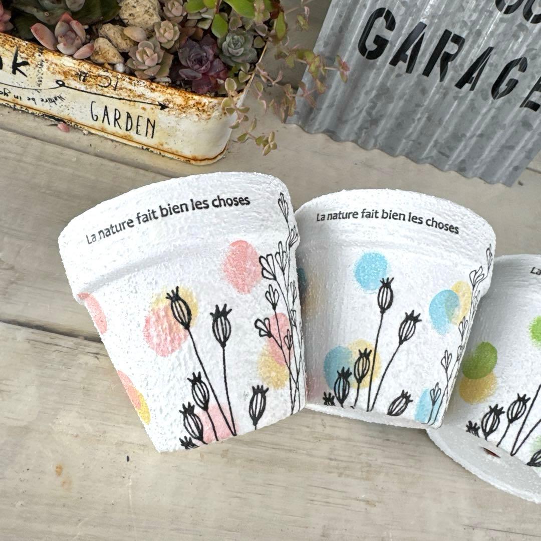 リメイク鉢46☆多肉植物☺︎︎寄せ植え☺︎︎インテリア