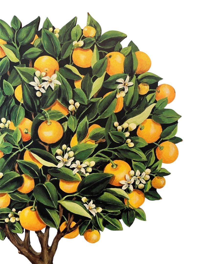 アート 柑橘の鉢植え 木製パネル by Katherine Barnell