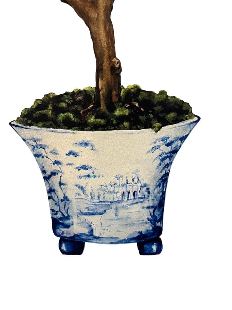 アート 柑橘の鉢植え 木製パネル by Katherine Barnell