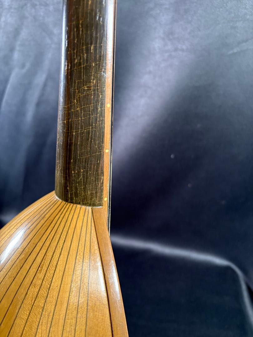 D021 SUZUKI マンドリン No.203 スズキ 弦楽器 ケース付