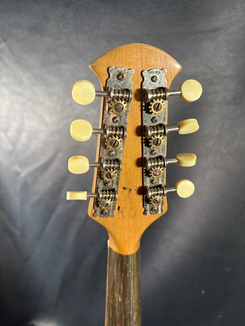 D021 SUZUKI マンドリン No.203 スズキ 弦楽器 ケース付